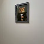 Hamster 007 Secret *
